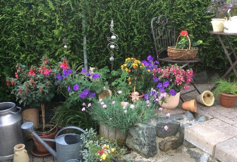 بنسيون Hildfelder Stübchen