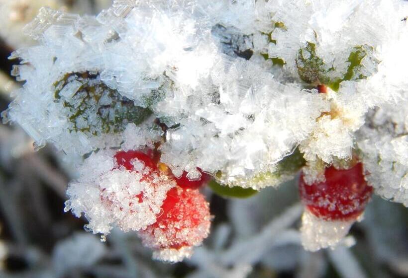 بنسيون Hildfelder Stübchen