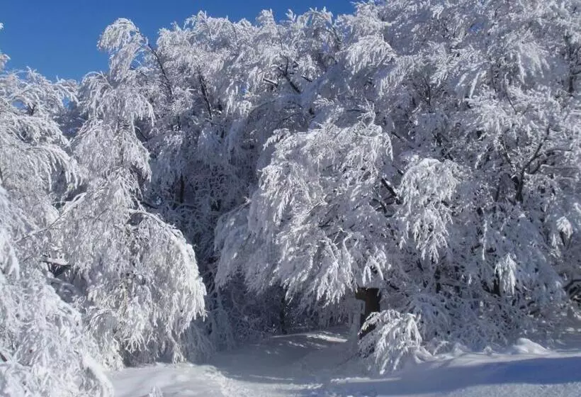 Majatalo Hildfelder Stübchen