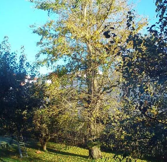 Majatalo L Laurentius