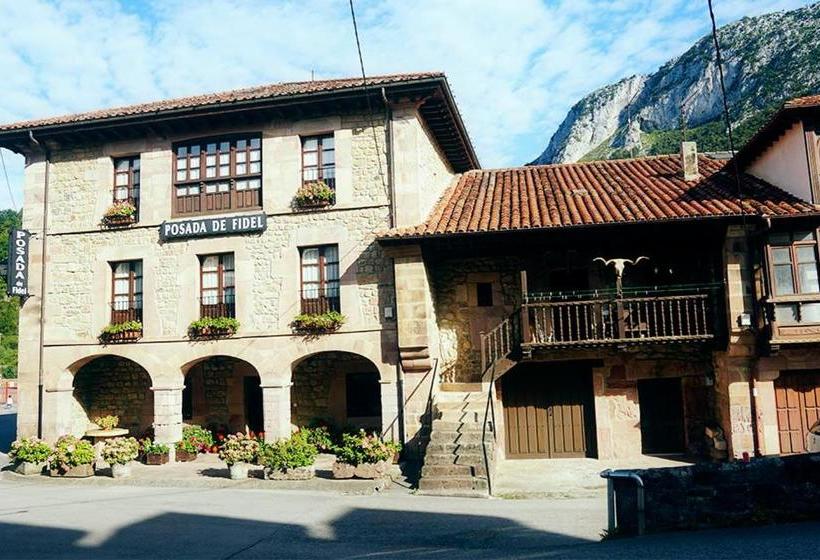 فندق صغير Posada De Fidel