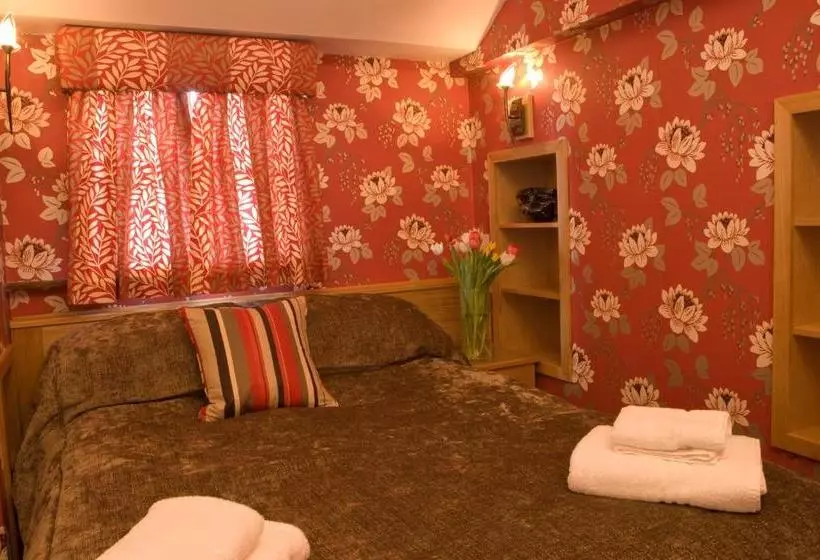 ユースホステル The Sun Boutique And Lounge