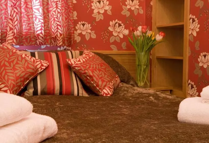 ユースホステル The Sun Boutique And Lounge