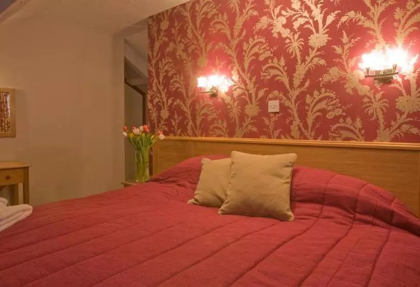 ユースホステル The Sun Boutique And Lounge