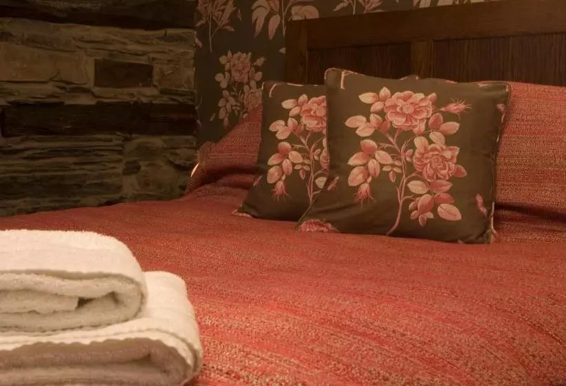 ユースホステル The Sun Boutique And Lounge