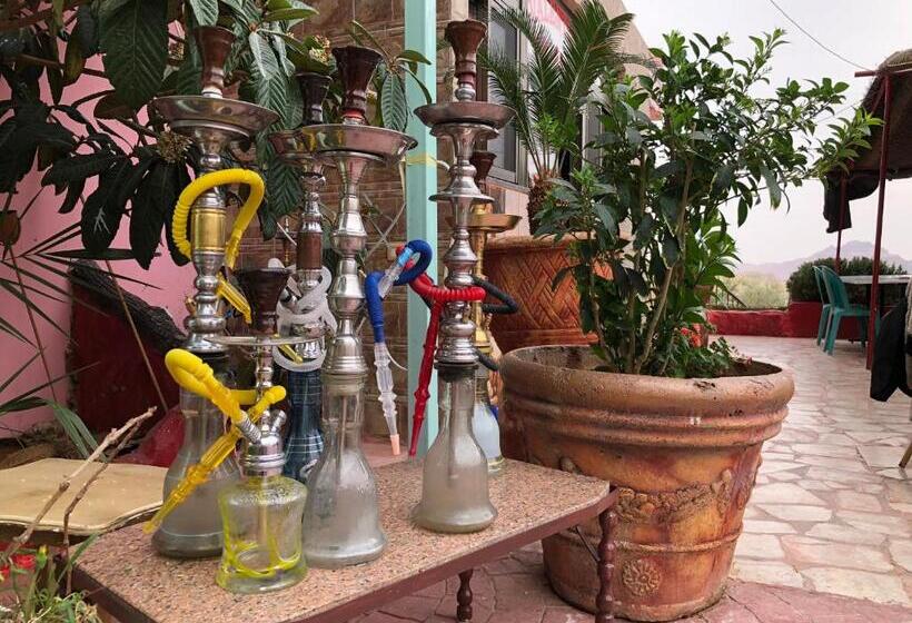 هاستل Valentine Inn