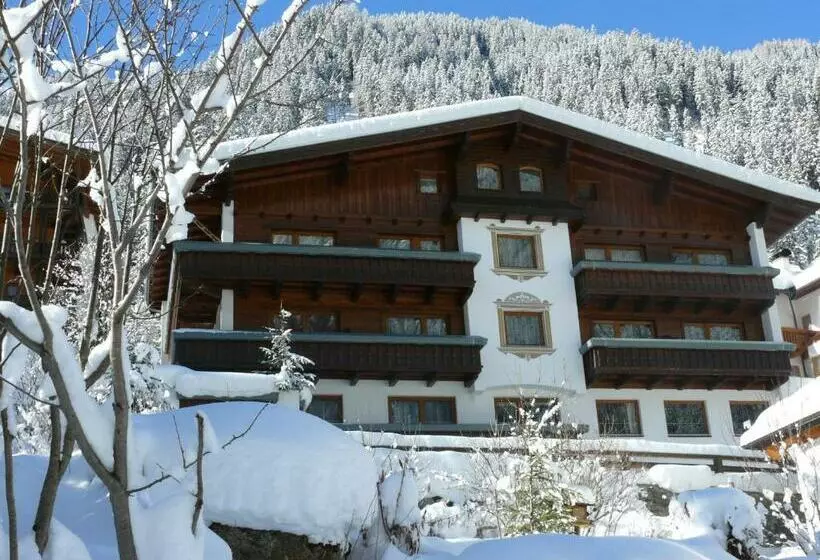 Apart   Und Frühstückspension Jägerheim