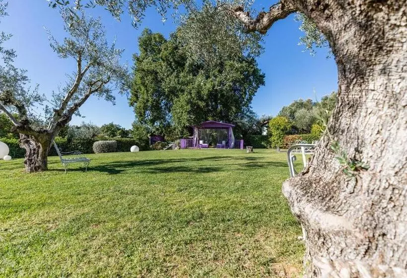 Hotelli Ille Roif Resort&spa