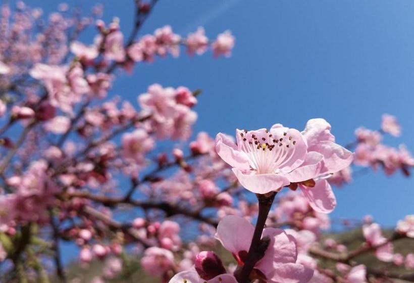 펜션 Das Gästehaus In Valwig