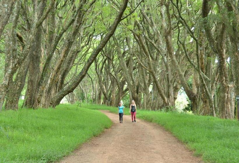 膳宿费 Highgrove House Country Hotel, Restaurant, Farm & Spa