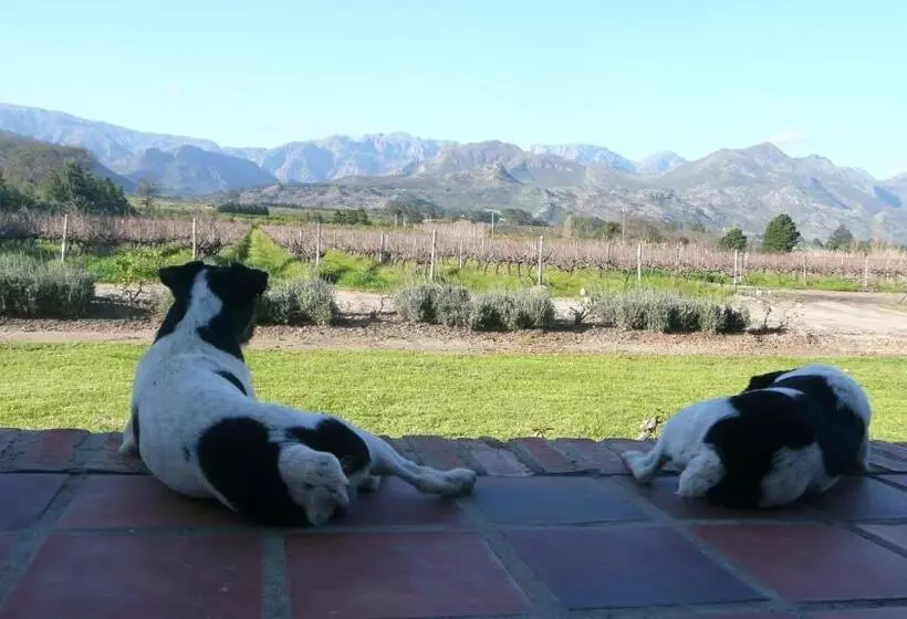 Majatalo Klein Waterval Riverside Lodge