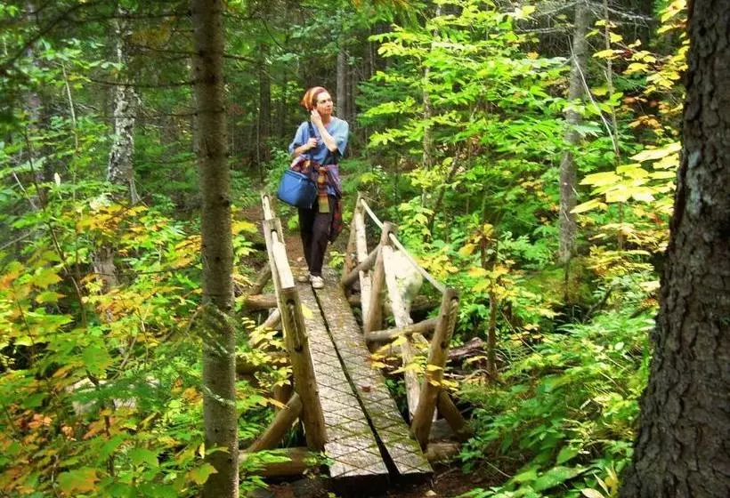 Auberge Du Café Chez Sam