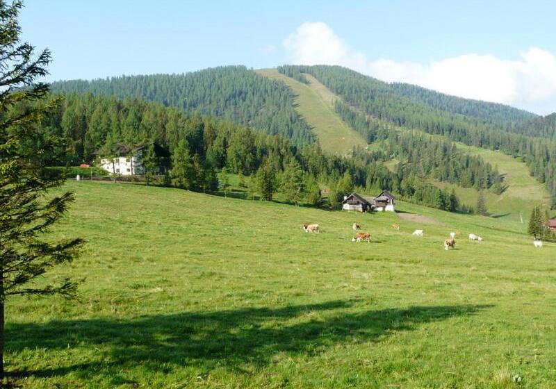 Пансион Gasthof Alpl