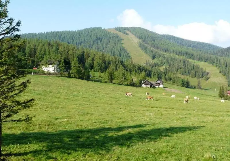 Majatalo Gasthof Alpl
