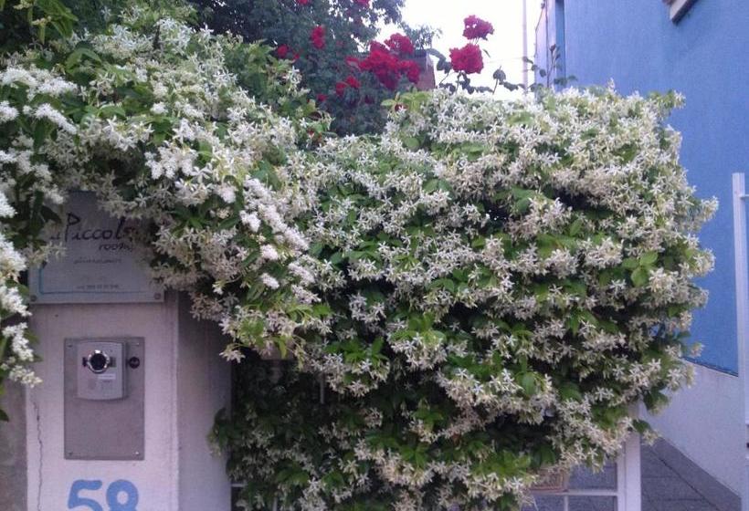 פנסיון Il Piccolo Rooms