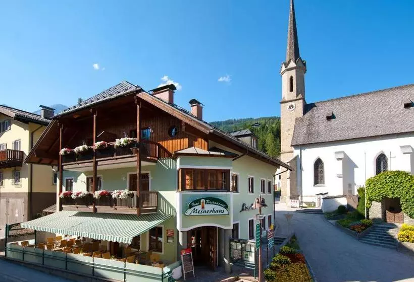 ペンション Mesnerhaus Mühlbach
