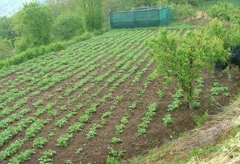 Hotelli Agriturismo La Ginestra
