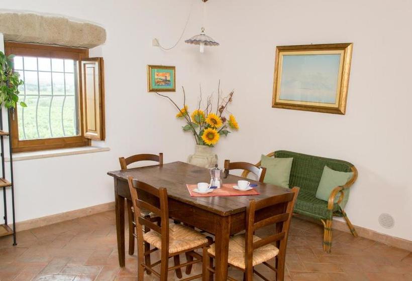 호텔 Agriturismo Poggio Delle Conche