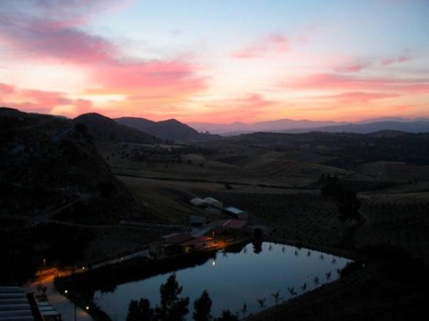 בית מלון כפרי Ciuci S Manor