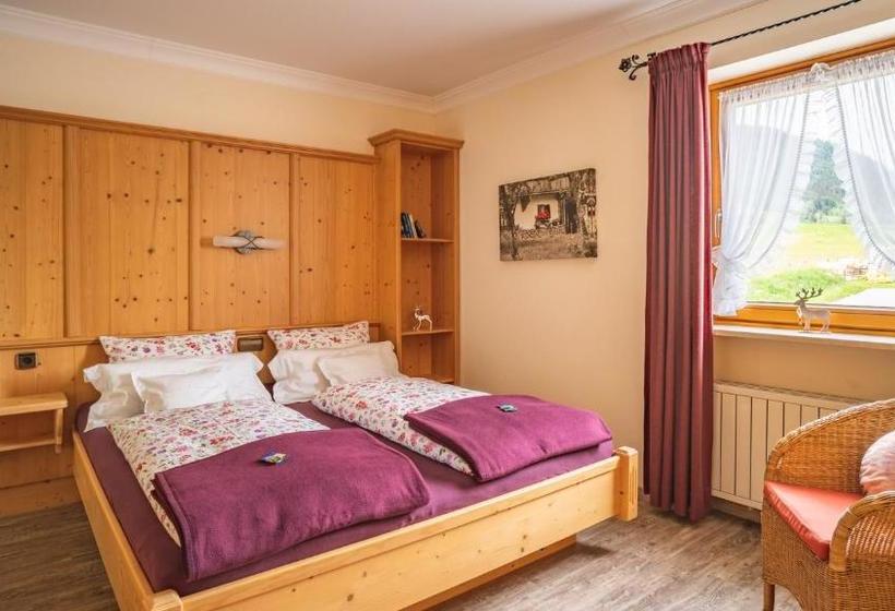 Pansiyon Gästehäuser Schwemmbauer