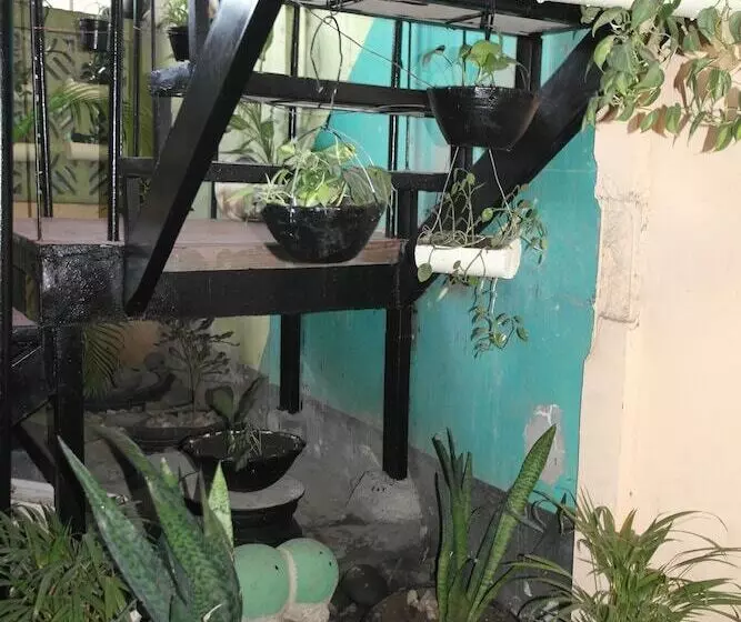 پانسیون Hostal Nicaragua Guest House
