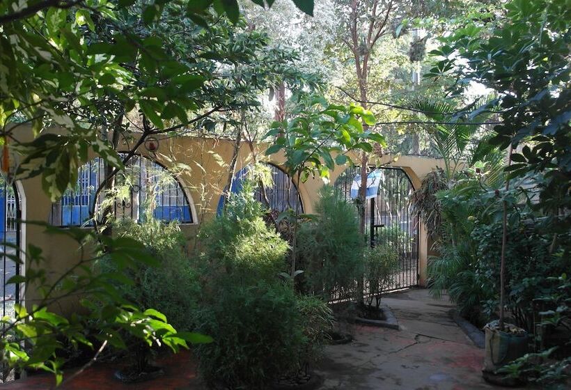 پانسیون Hostal Nicaragua Guest House