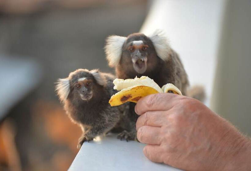 پانسیون Pousada Do Gunga