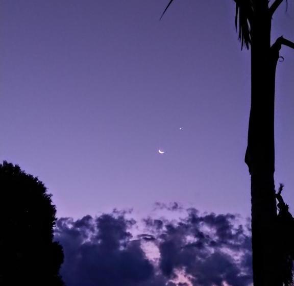 膳宿费 Pousada Vila Minas