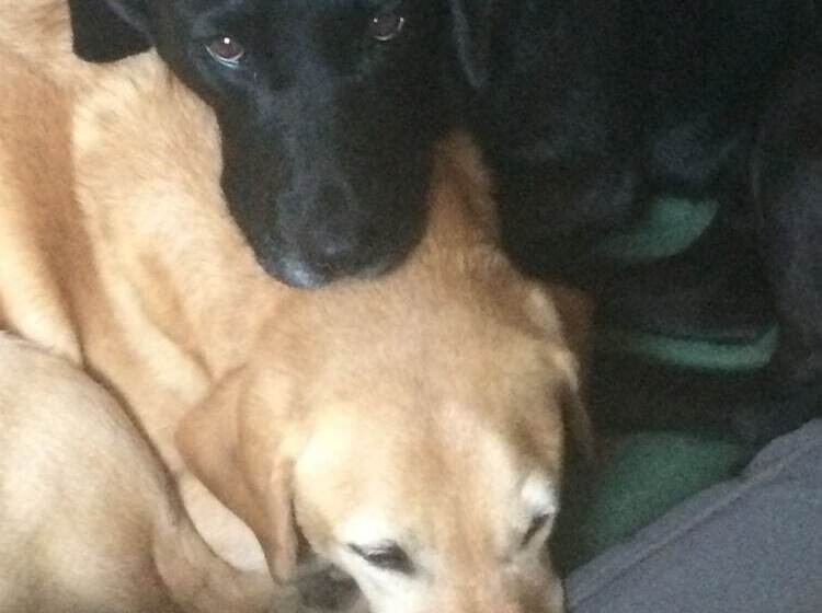 펜션 Sandown House