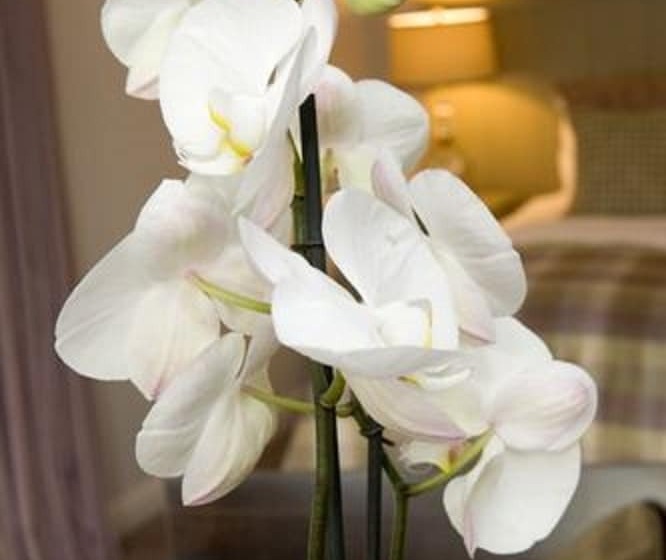 펜션 Sandown House