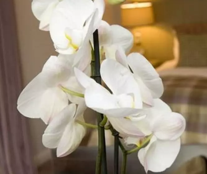 پانسیون Sandown House