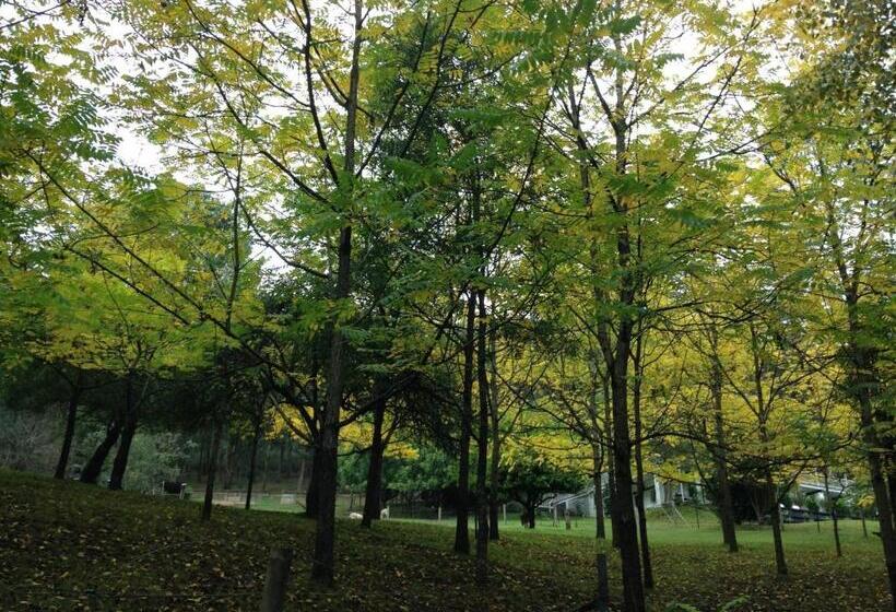 Brentwood Accommodation B&b Apartments   Yarra Valley