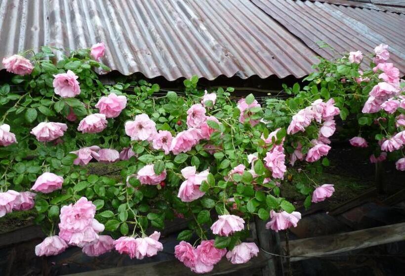 Brentwood Accommodation B&b Apartments   Yarra Valley