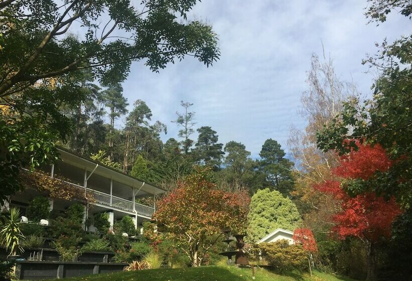 Brentwood Accommodation B&b Apartments   Yarra Valley