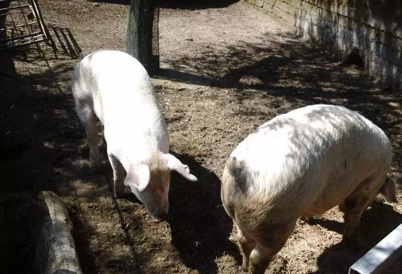 ホテル Agriturismo La Chiana