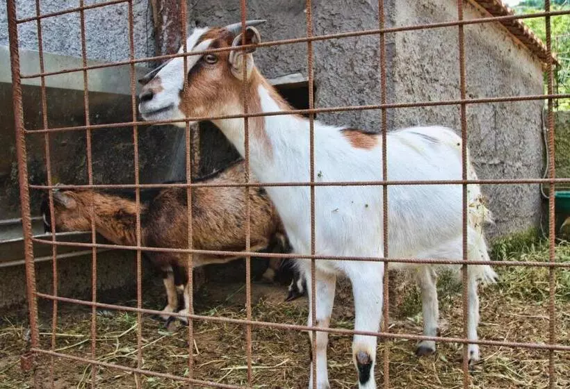ホテル Agriturismo La Chiana