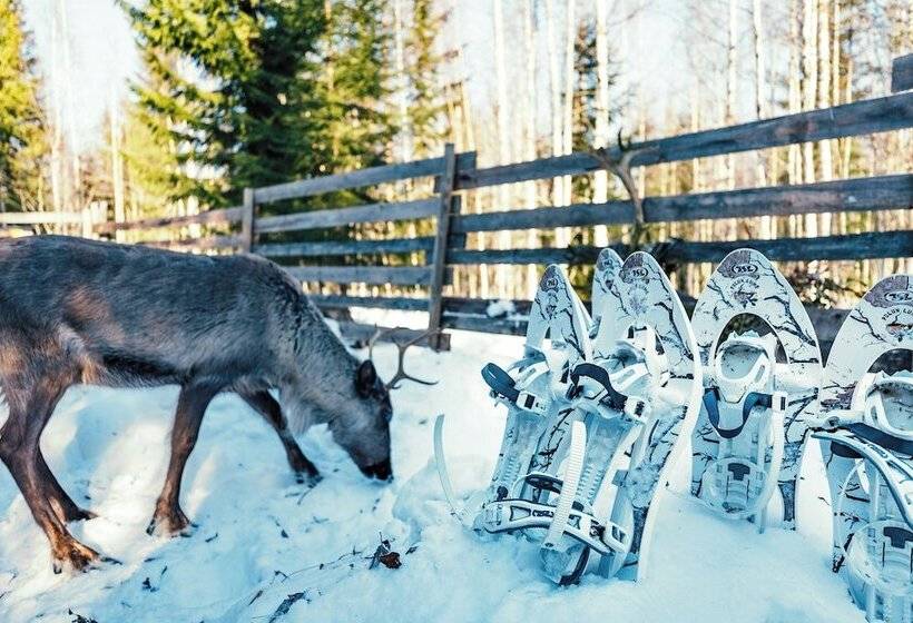 ホテル Valkeisen Loma