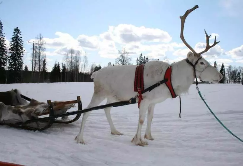 Hotelli Valkeisen Loma