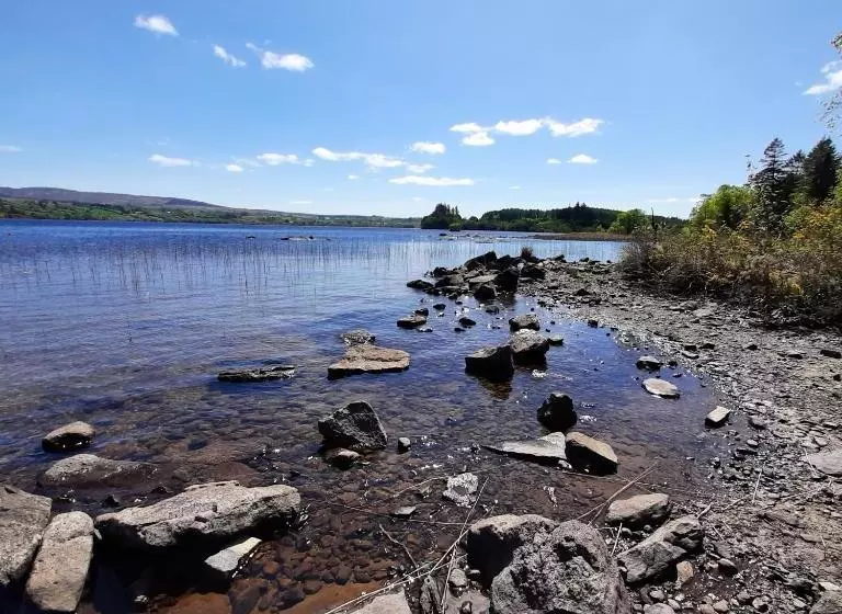 ペンション Donegal Manor