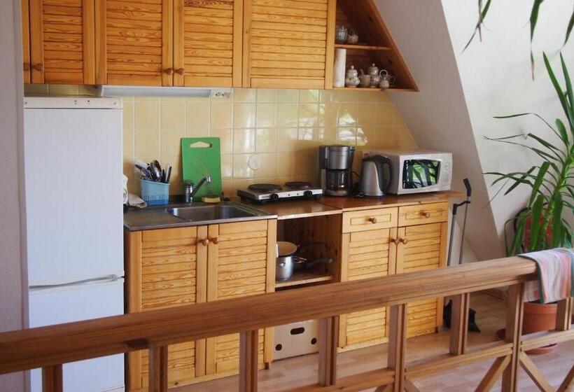 پانسیون Männi Guesthouse