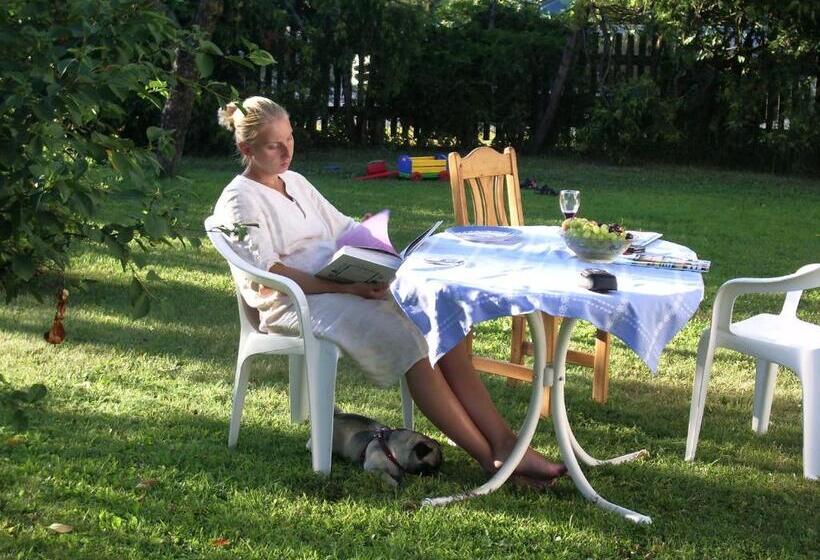 پانسیون Männi Guesthouse