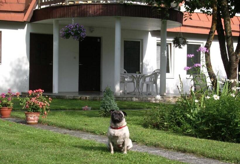 پانسیون Männi Guesthouse