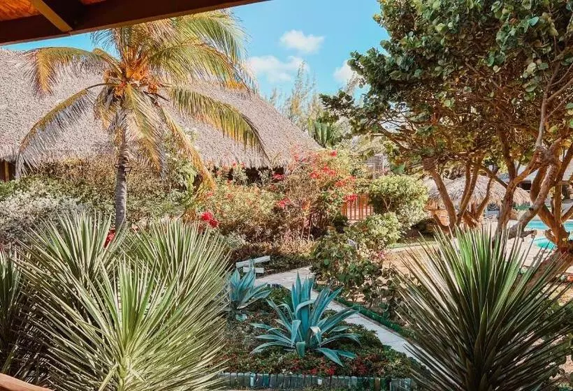 ペンション Ocas Do índio Hotel Spa