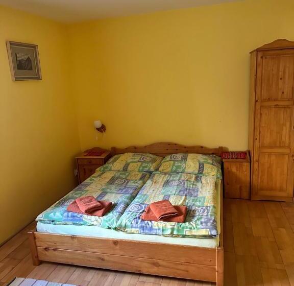 펜션 Penzion Pažický