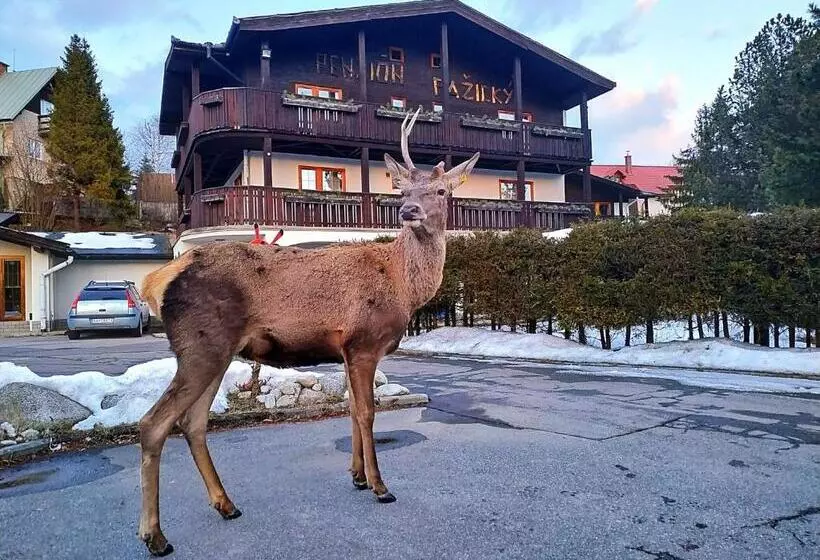 ペンション Penzion Pažický