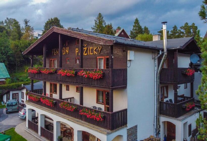 펜션 Penzion Pažický