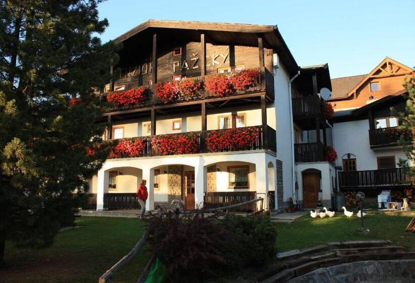 펜션 Penzion Pažický