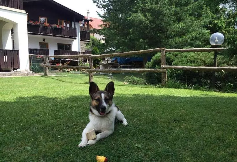 ペンション Penzion Pažický