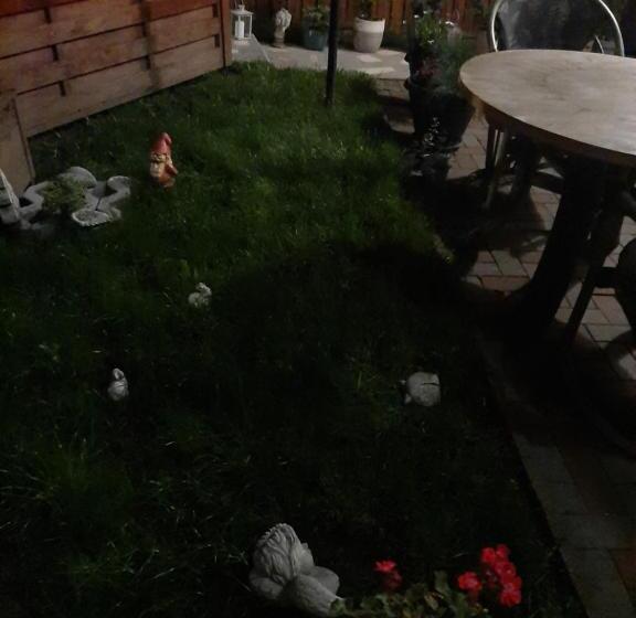 פנסיון Piccola Italia Casa Racovita