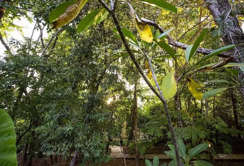 ペンション Pousada Cavaleiro Dos Pireneus